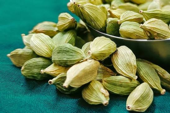 Cardamom Plants — Browse 1 varieties